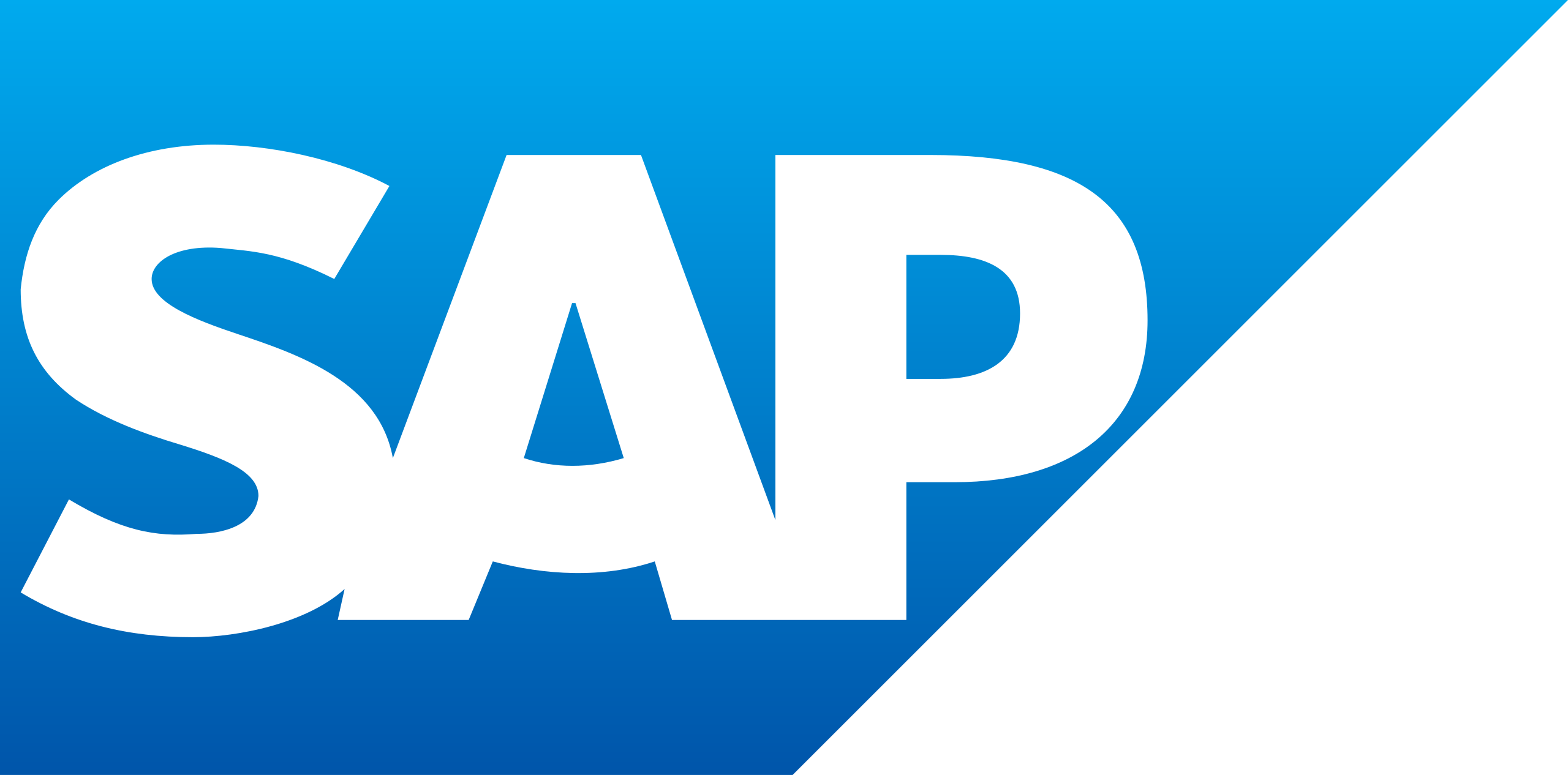 SAP 2011 logo.svg.png